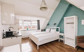 Divi Divi Zandvoort